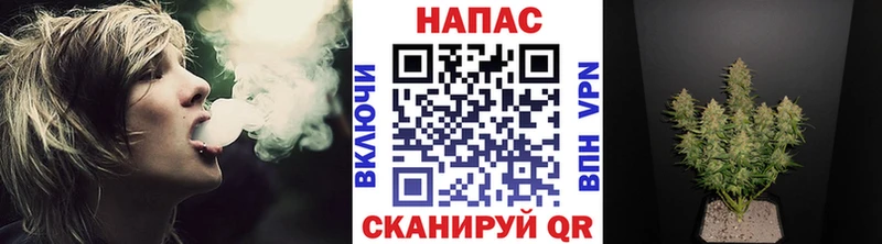 Каннабис планчик Купить Салават